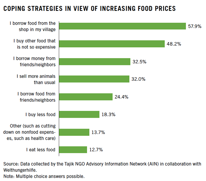 Coping Strategies in View of Increasing Food Prices