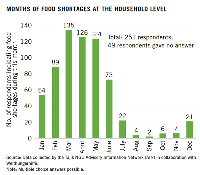 Months of Food Shortages at the Household Level