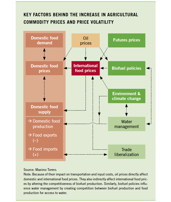 Key Factors Behind the Increase in Agricultural Commodity Prices and Price Volatility