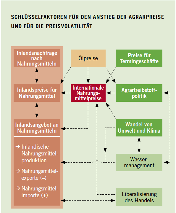 Sc hlüsselfaktoren für den Anstieg der Agrarpreise und für die Preisvolatilität