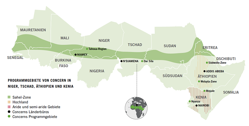 Concern's Program Areas in Niger, Chad, Ethiopia, and Kenya