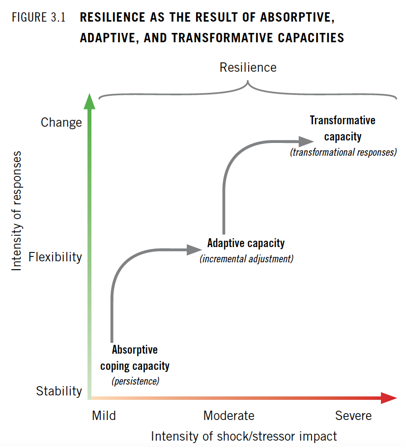 Figure 3.1 Resilience as a Result of Absorptive, Adaptive, and Transformative Capacities