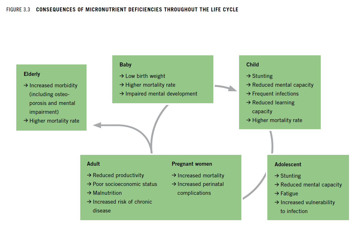 Figure 3.3 Consequences of micronutrient deficiencies throughout the life cycle