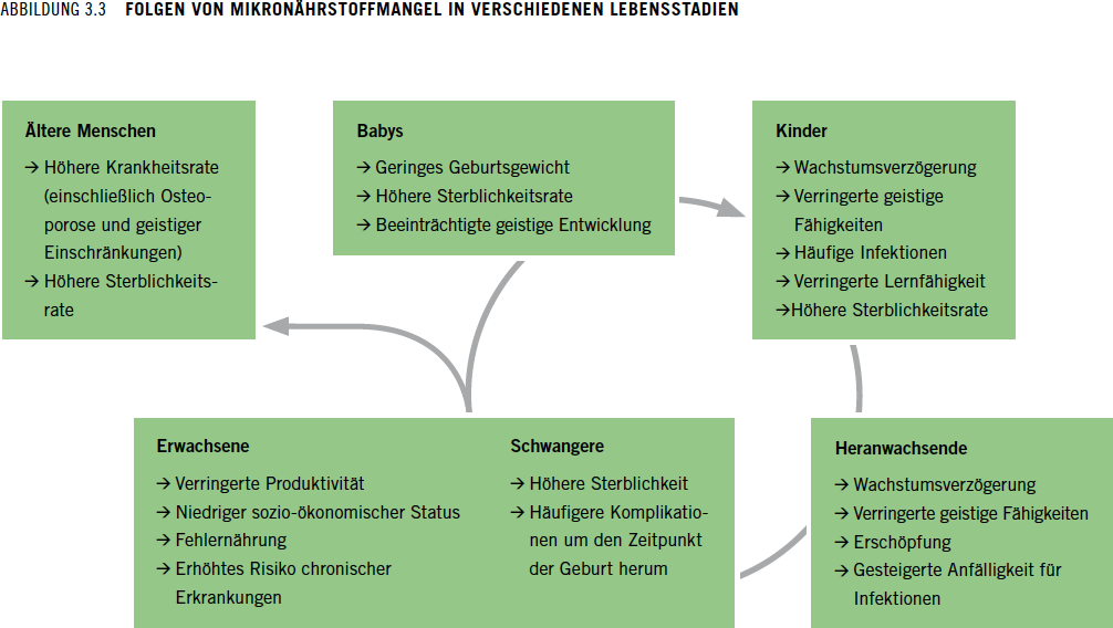 Abbildung 3.3 Folgen von Mikronährstoffmangel in verschiedenen Lebensstadien