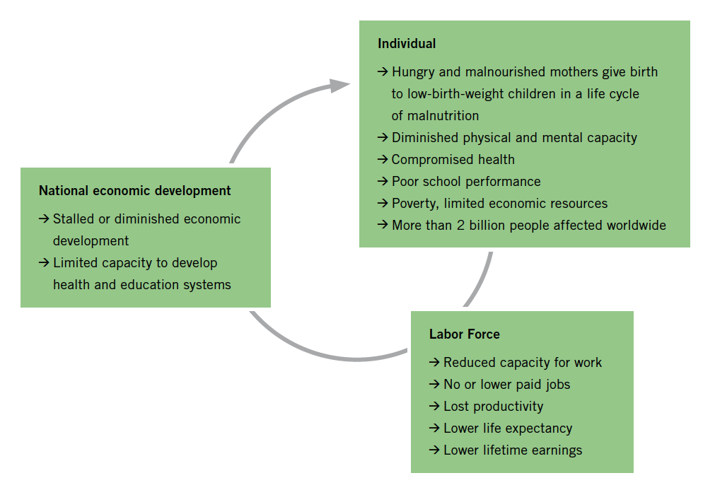 Figure 3.4 - Cycle of hidden hunger, poverty, and stalled development
