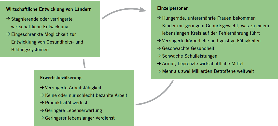 Abbildung 3.4 Kreislauf von verborgenem Hunger, Armut und stagnierender Entwicklung