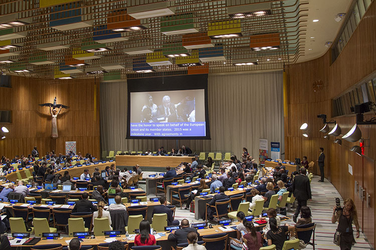 Ministerial Segment of High-level Political Forum on Sustainable Development, July 2016.