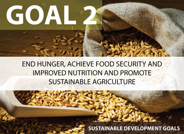 Zero Hunger (SDG2) - The UAE's Commitment to Eradicating Hunger by 2030