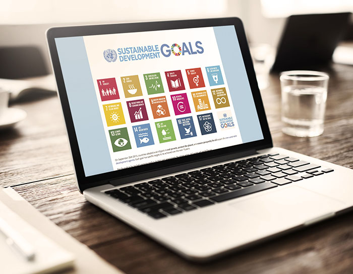 Sustainable Development Goals