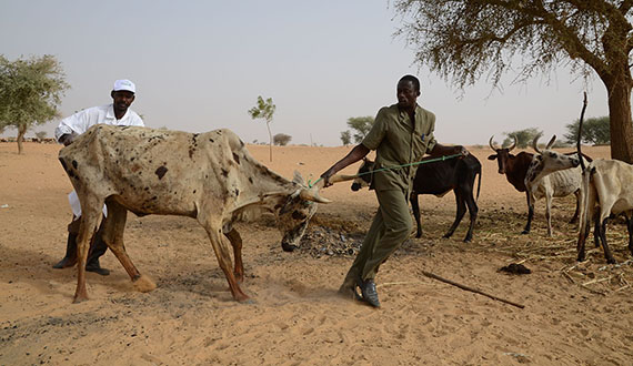 A Closer Look at Hunger and Undernutrition in Niger