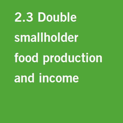 Target 2.3: Double smallholder food production and income