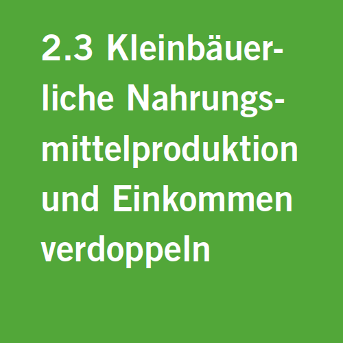 Target 2.3: Double smallholder food production and income