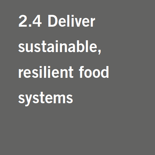 Target 2.4: Deliver sustainable, resilient food systems