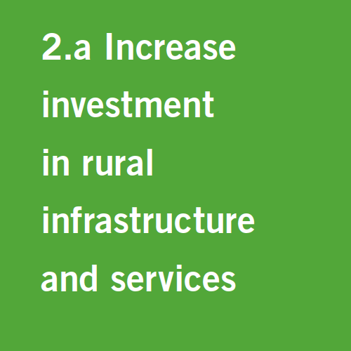 Target 2.a: Increase investment in rural infrastructure and services