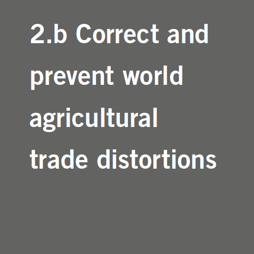 Target 2.b: Correct and prevent world agricultural trade distortions