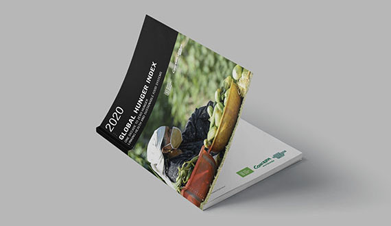 Global Hunger Index 2020: TOne Decade to Zero Hunger: Linking Health and Sustainable Food Systems