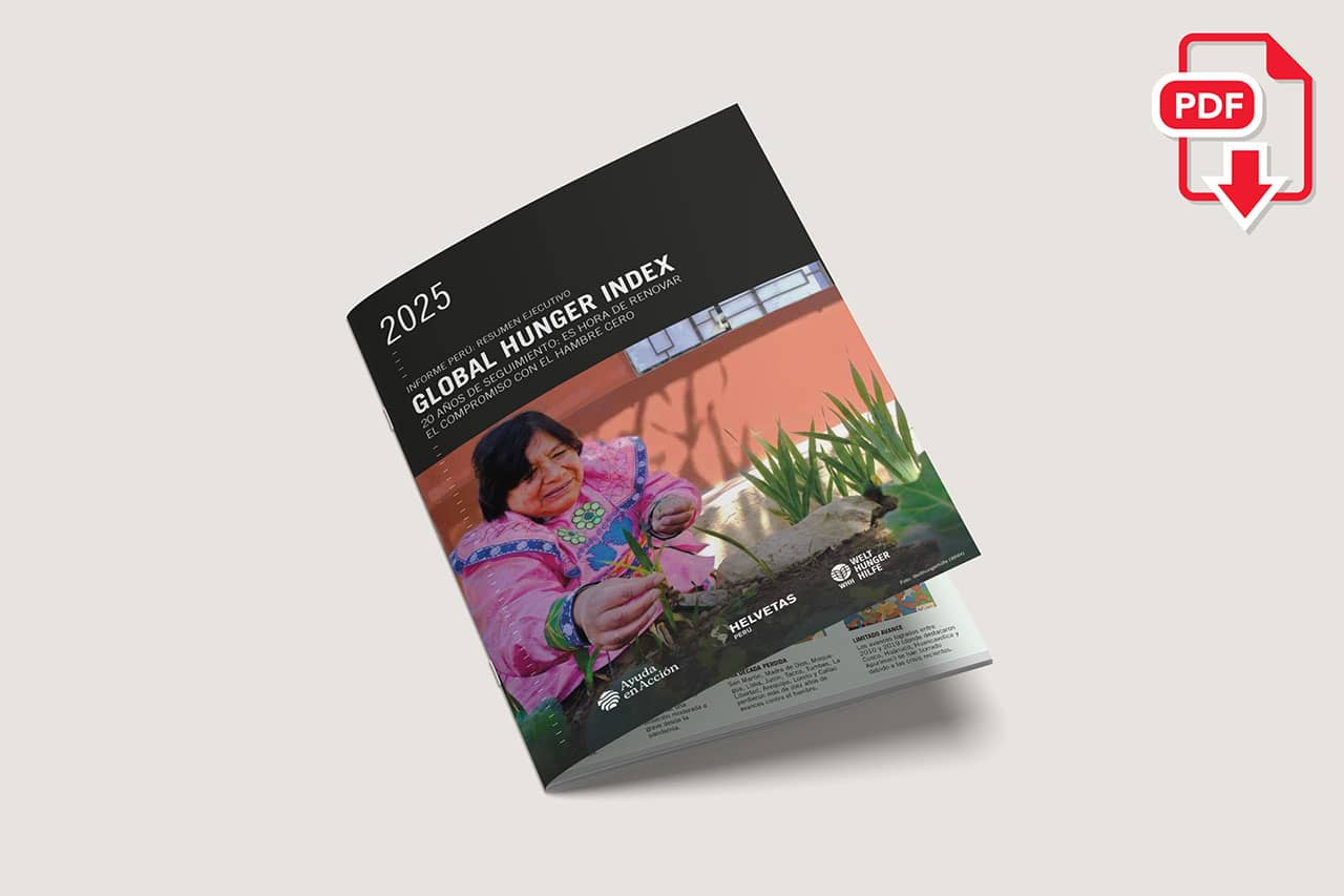 Informe Perú: Resumen ejecutivo