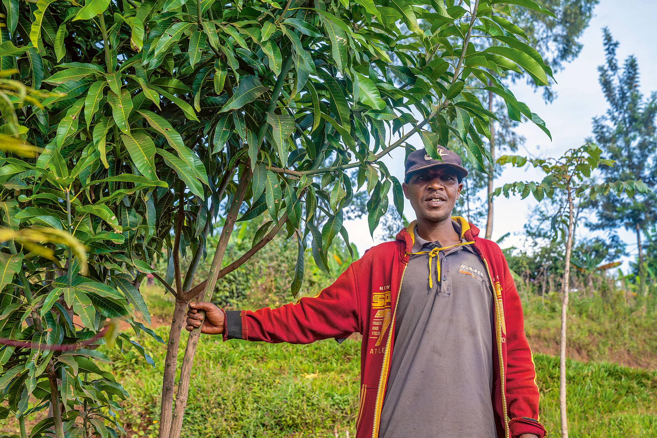 Theoneste stands under a fruit tree on his rented farming
land. He sells the produce he grows here at the market, generating income to provide for his three daughters.