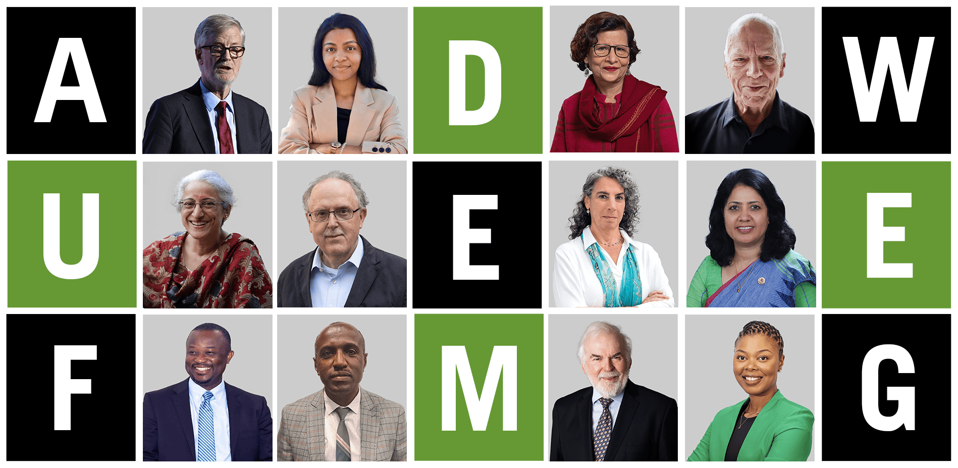 Insights from Experts and Policymakers