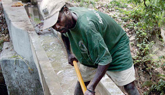 Fostering Community Resilience to Food and Nutrition Crises in Haiti