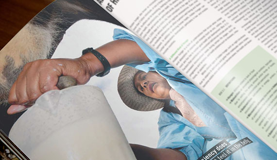 Addressing the Challenge of Hidden Hunger - Issues in Focus