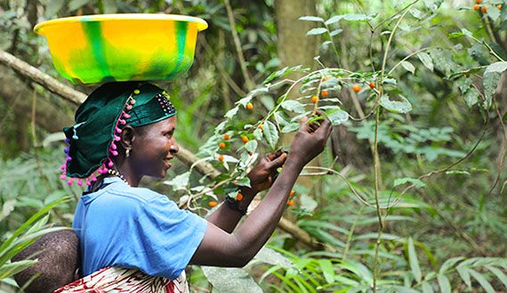 Sierra Leone: Ungleichheit überwinden – gesunde Ernährung fördern