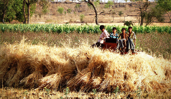 Linking Agriculture, Natural Resource Management and Nutrition in Asia