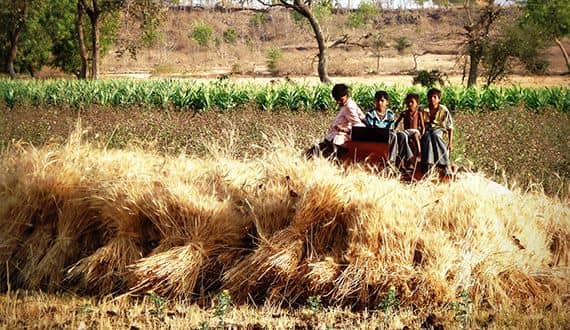 Linking Agriculture, Natural Resource Management and Nutrition (LANN) in Asien