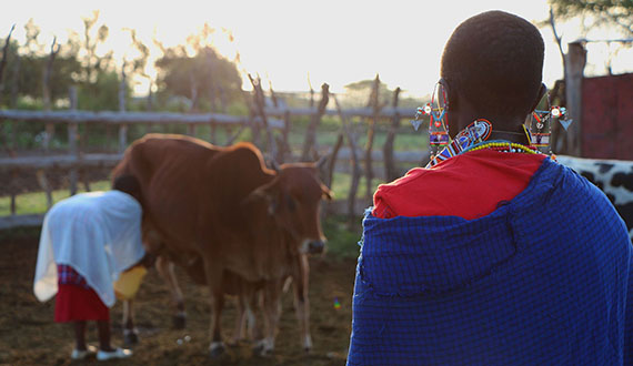 Eine eingehendere Betrachtung von Hunger und Unterernährung in Kenia