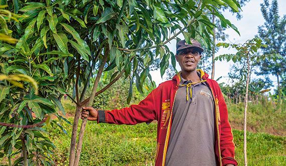 Länderstudie: Ein Weg aus der Armut in Ruanda