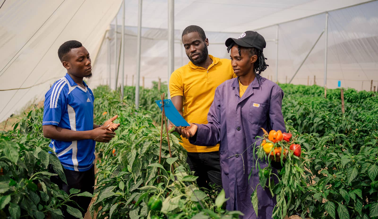 The greenhouse in Dodoma is a classroom for Esther Kamanija and Hillary Rweyemamu. As part of hands-on vocational training, they grow and manage crops while preparing for work in agriculture or to start businesses of their own. Credit: Yusuf Msafiri/Helvetas, Tanzania 2023